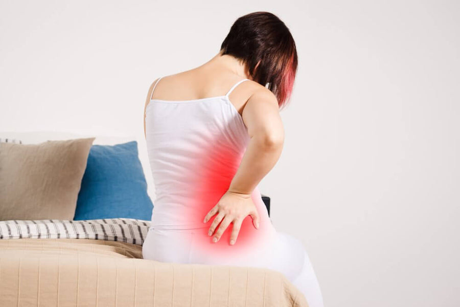 Seven Top Causes of Back Pain in Females & How to Get Relieve from it